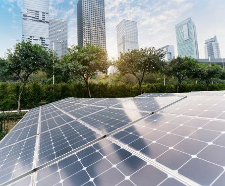 Solar panels in the park with city on background