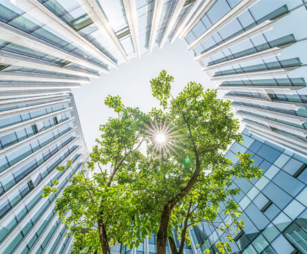 Building as seen from a low angle, with the camera pointing upwards, with a tree in the middle