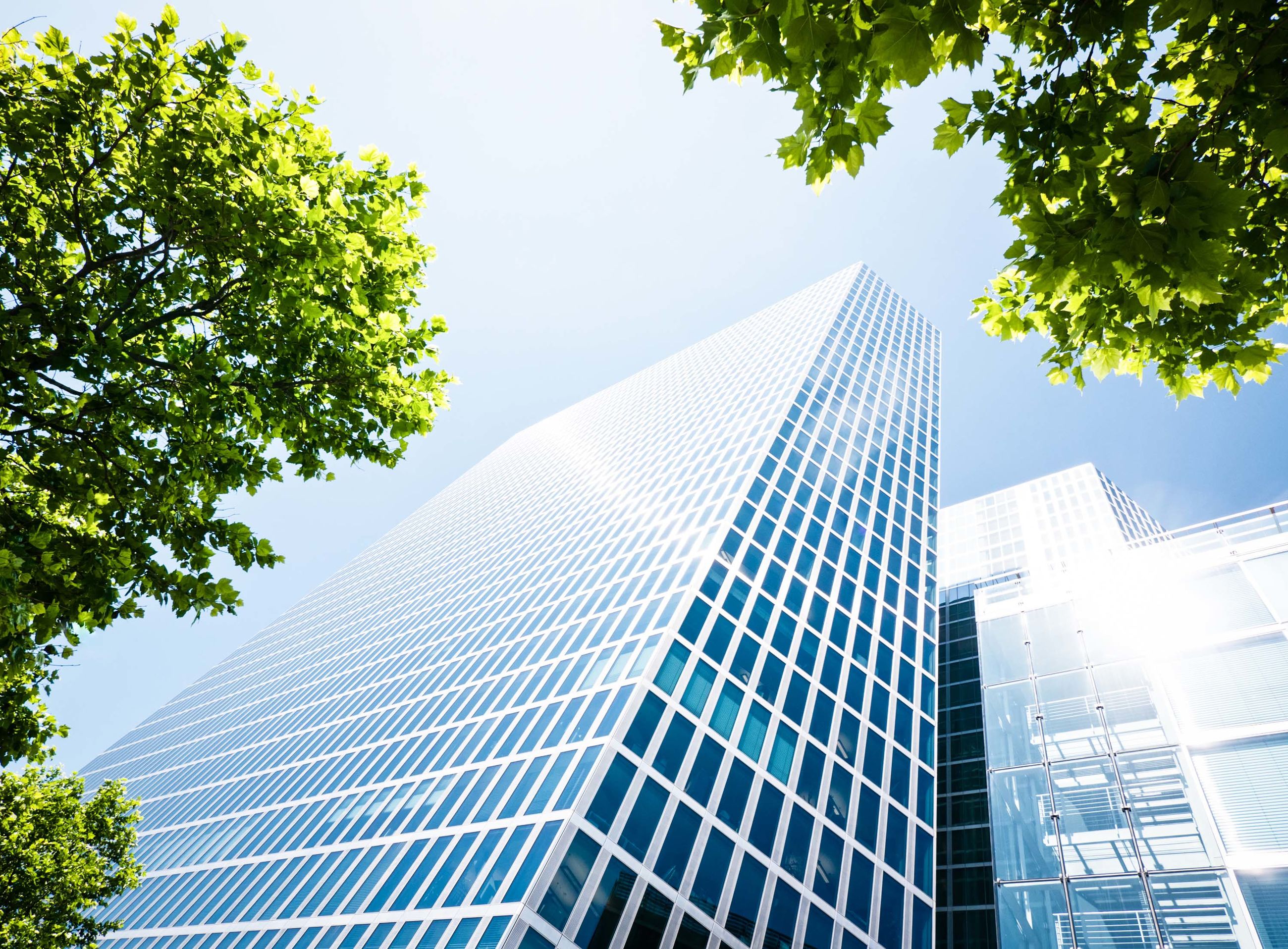 Building with trees