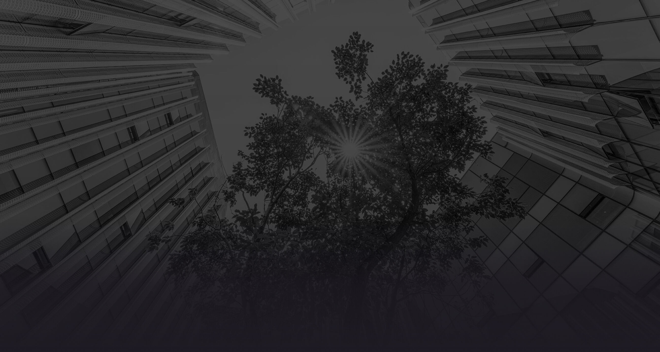 Building as seen from a low angle, with the camera pointing upwards, with a tree in the middle
